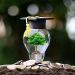 tree grows inside a light bulb with a graduation cap on top.